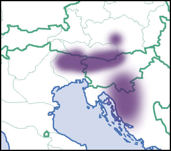 Imagem de Orcula Held 1838