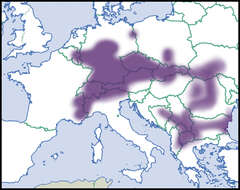 صورة Pupilla sterrii (Voith 1840)