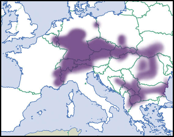 صورة Pupilla sterrii (Voith 1840)