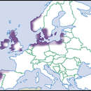 Image de Spermodea Westerlund 1902