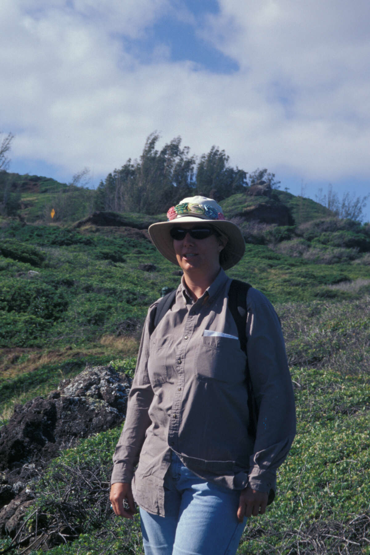 Image of Hawai'i hawthorn