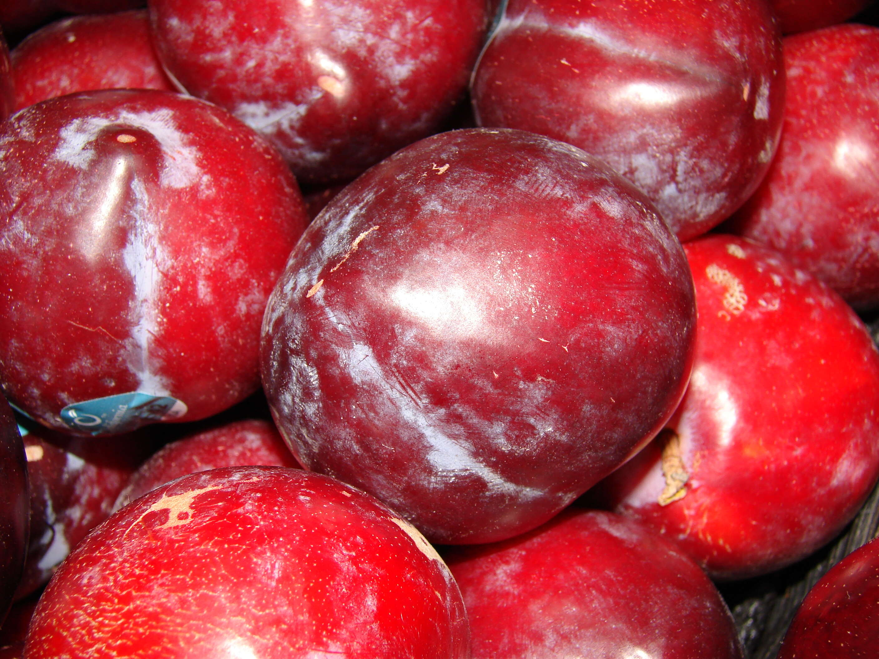 Imagem de Prunus salicina Lindl.