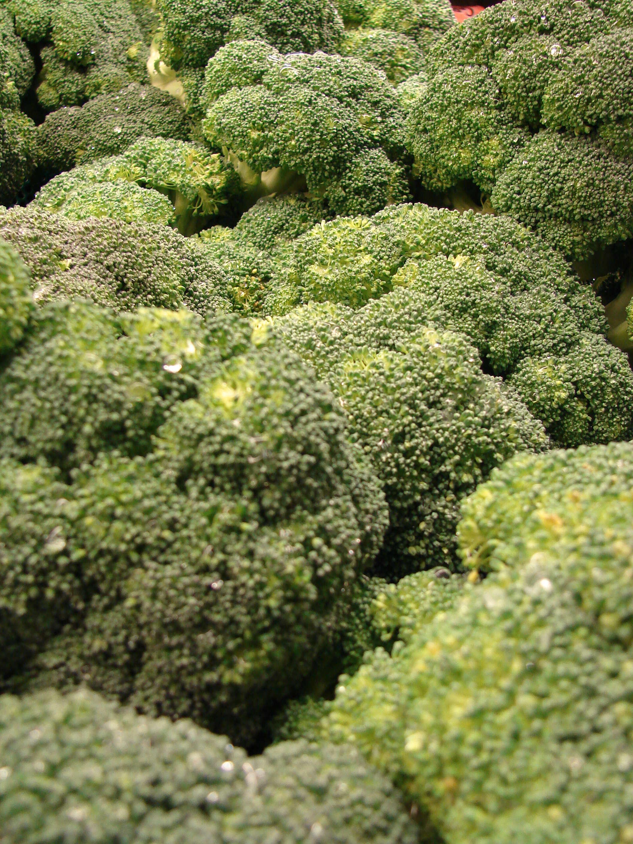 Image of sprouting broccoli