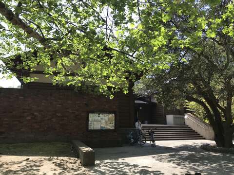 Image of Chinese Sweetgum