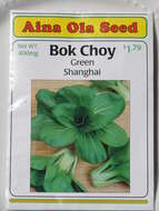 Image of pak choi