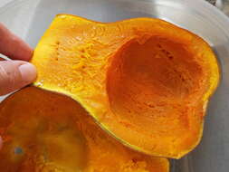 Image of Butternut Pumpkin