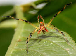 Image of Magnolia Green Jumper