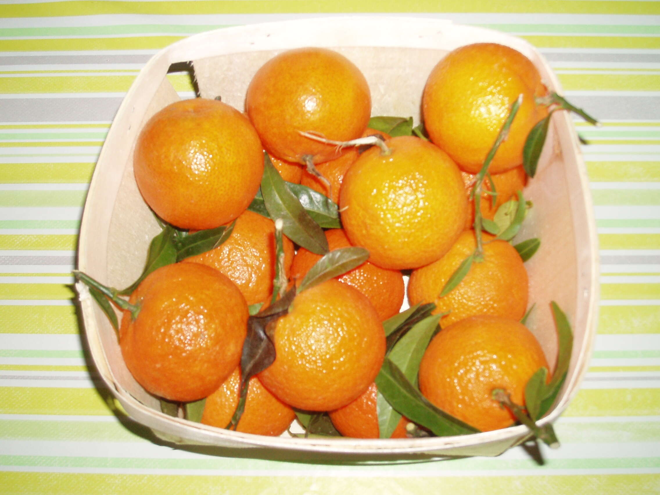 Image of Citrus × clementina