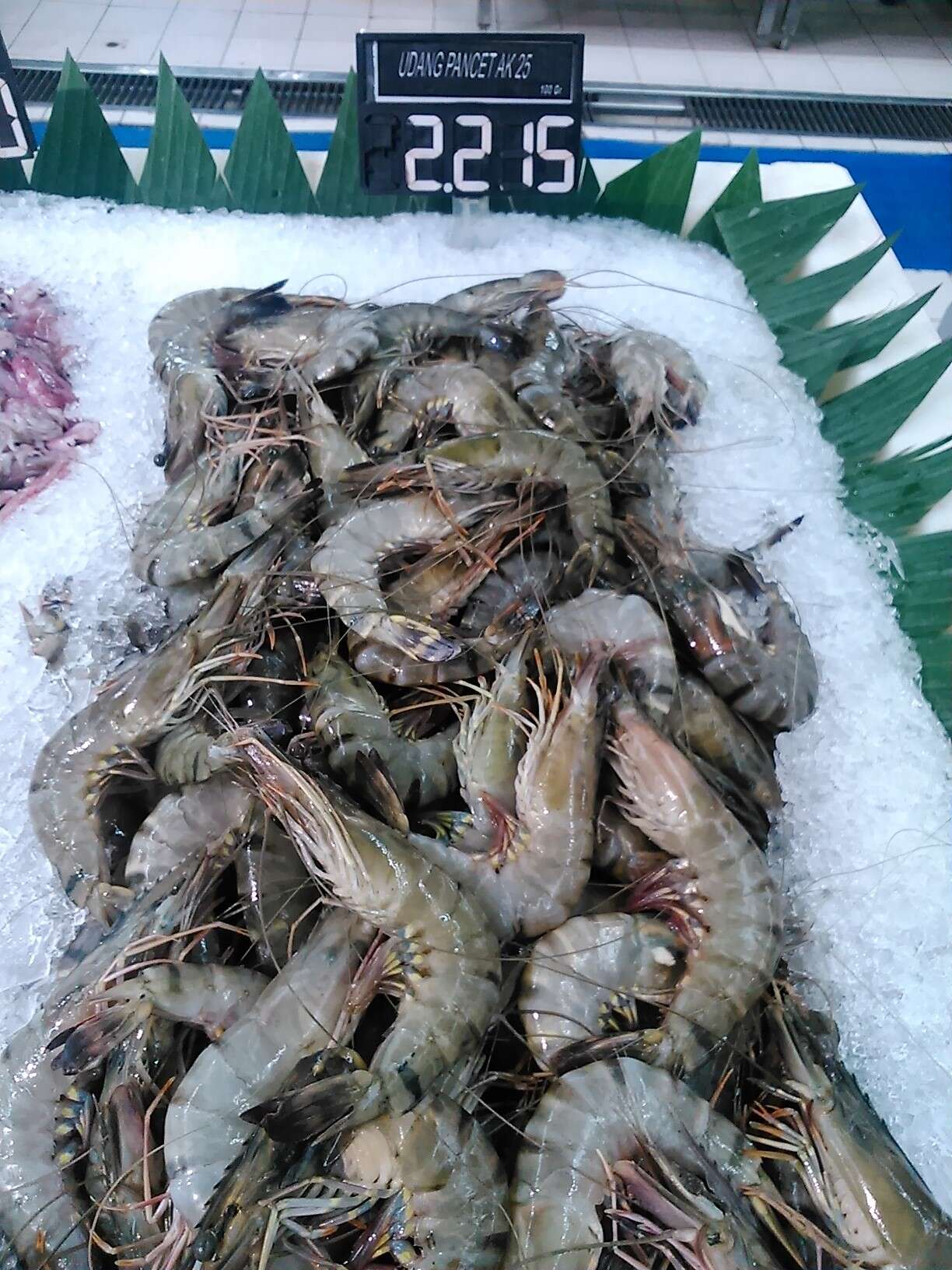 Image of Black tiger shrimp