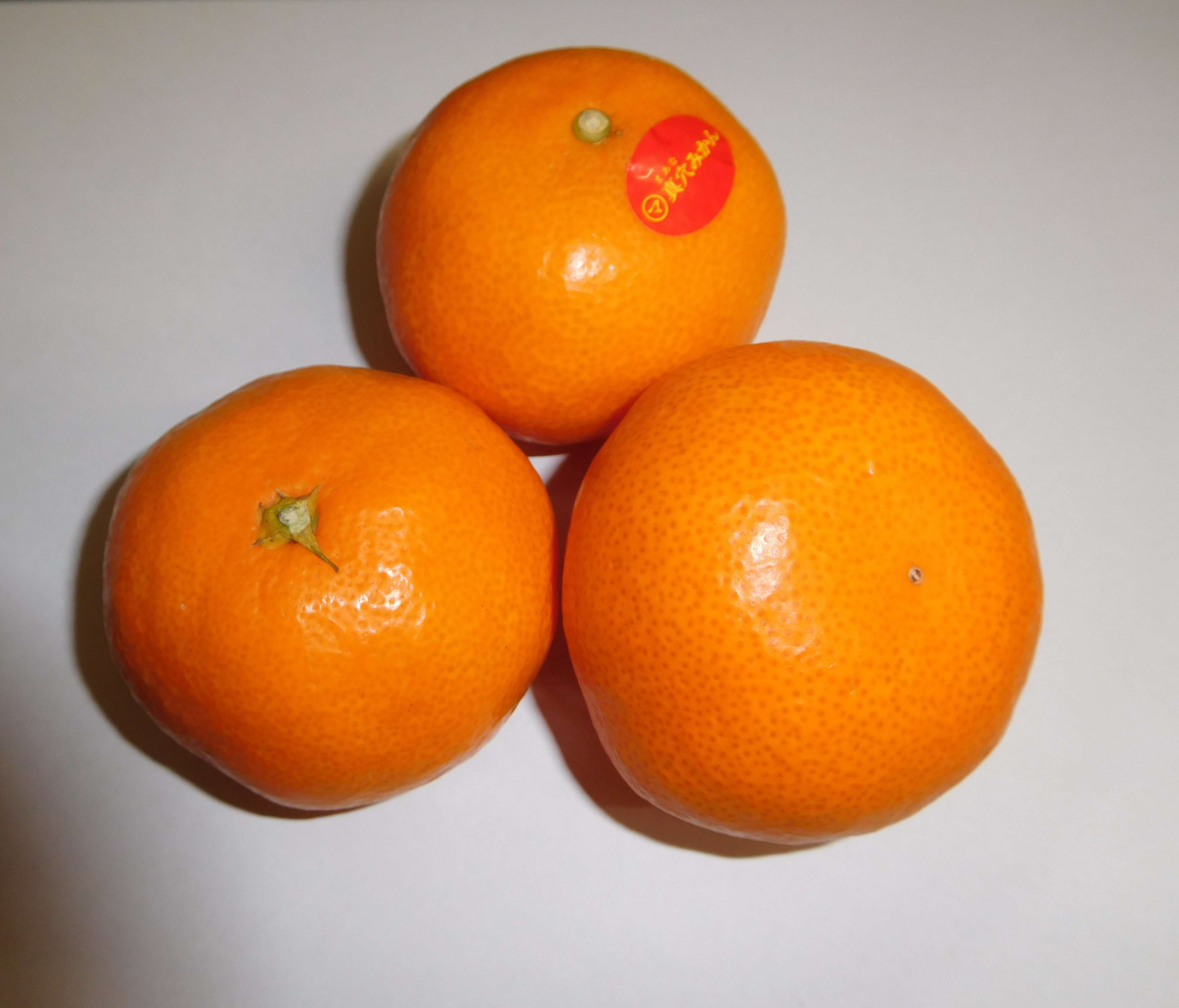 Image of Citrus unshiu