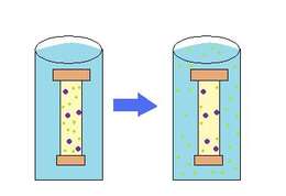 Imagem de Dialysis