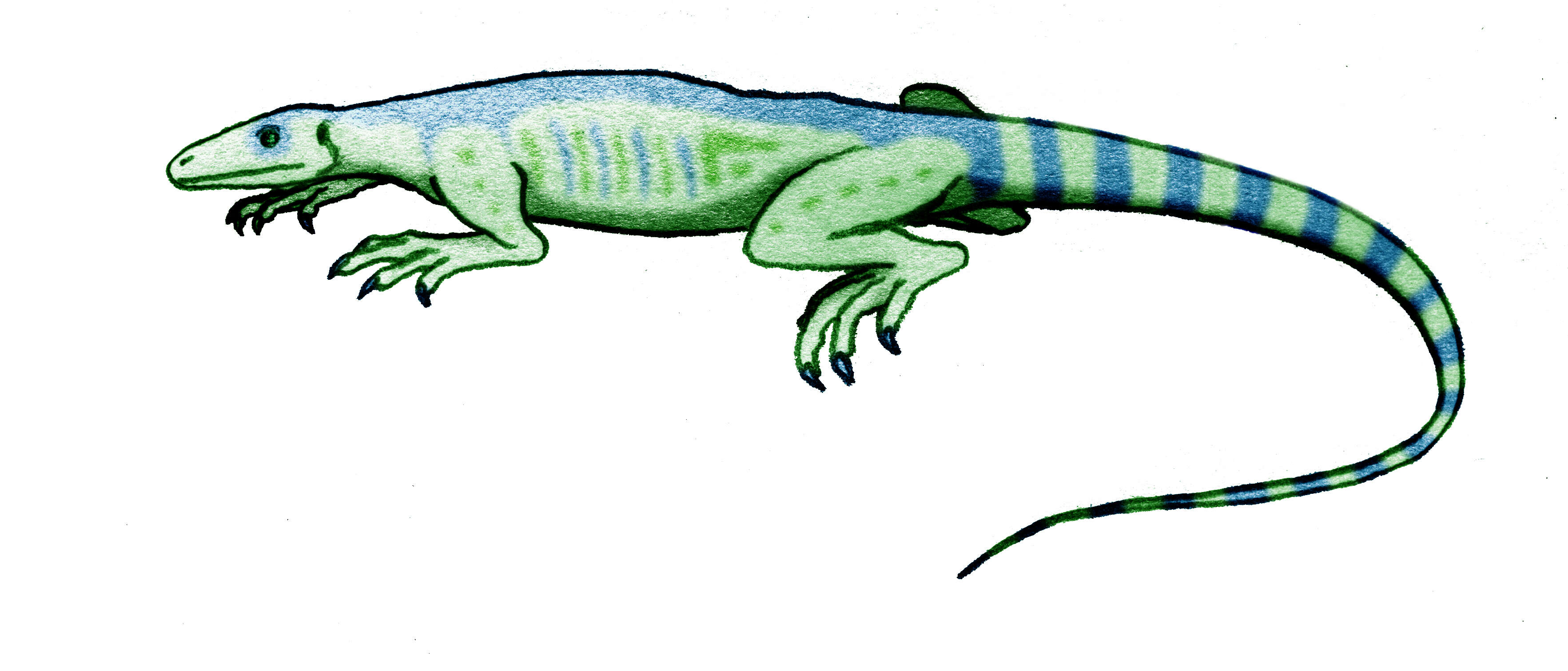 Tangasauridae resmi