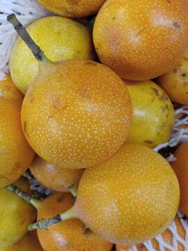 Image of sweet granadilla