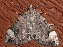 Image of Dark Marbled Carpet