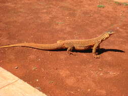 Image of Sand Monitor