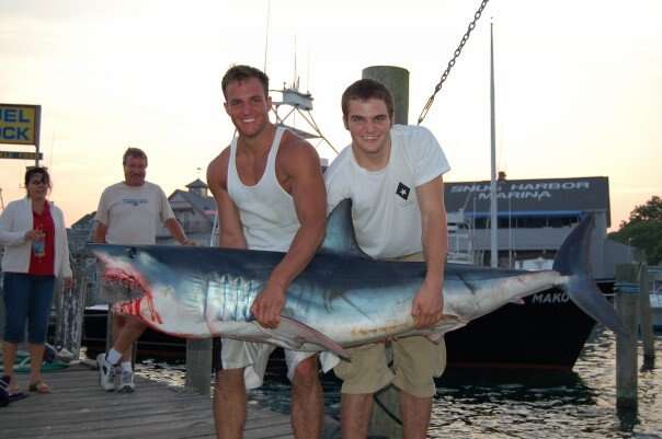 Image of mackerel sharks