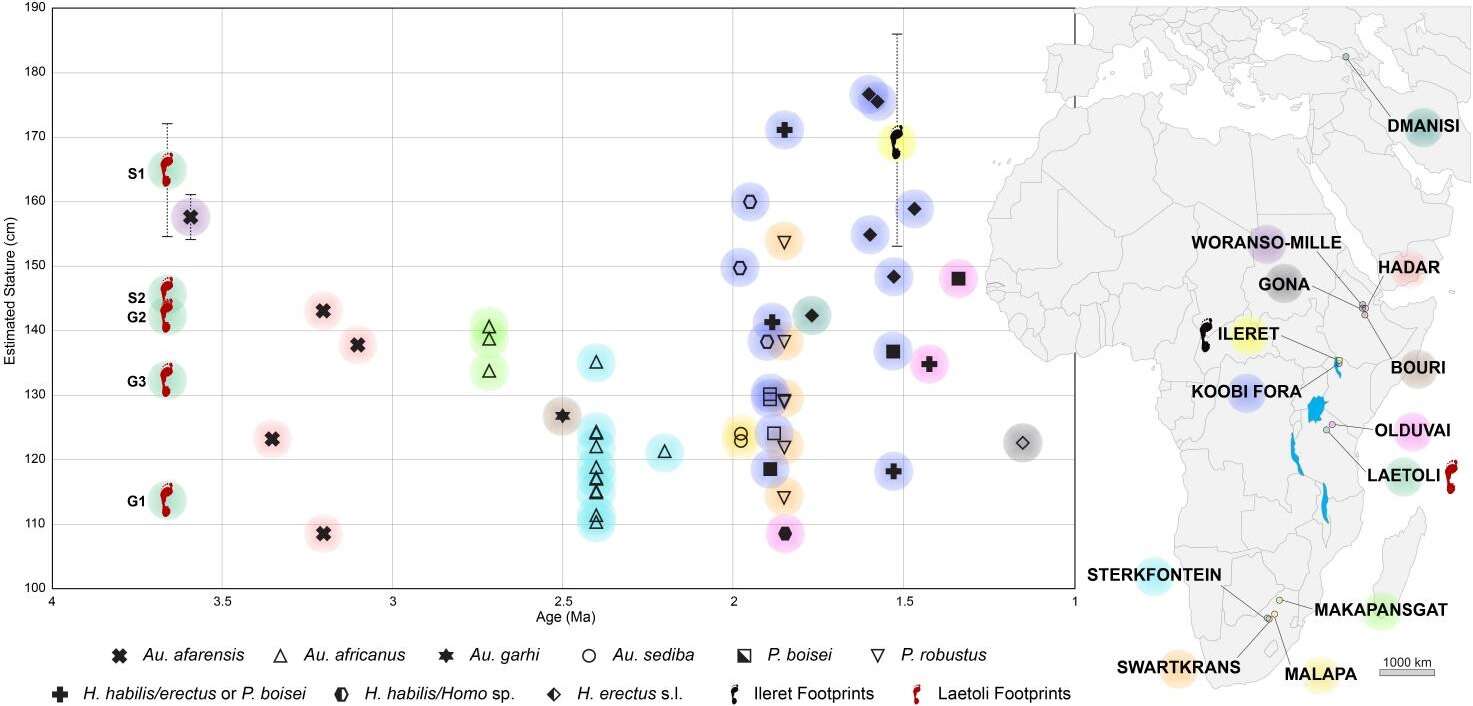 Image de Hominina