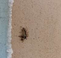 Image of Gray Wall Jumper