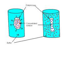 Imagem de Dialysis