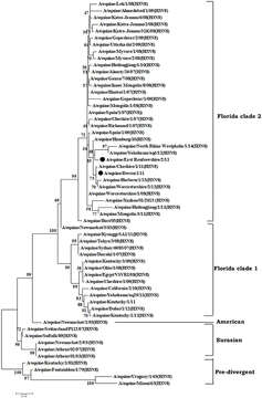 Plancia ëd Influenza A virus