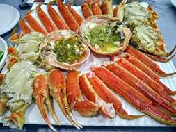 Image of Snow Crab