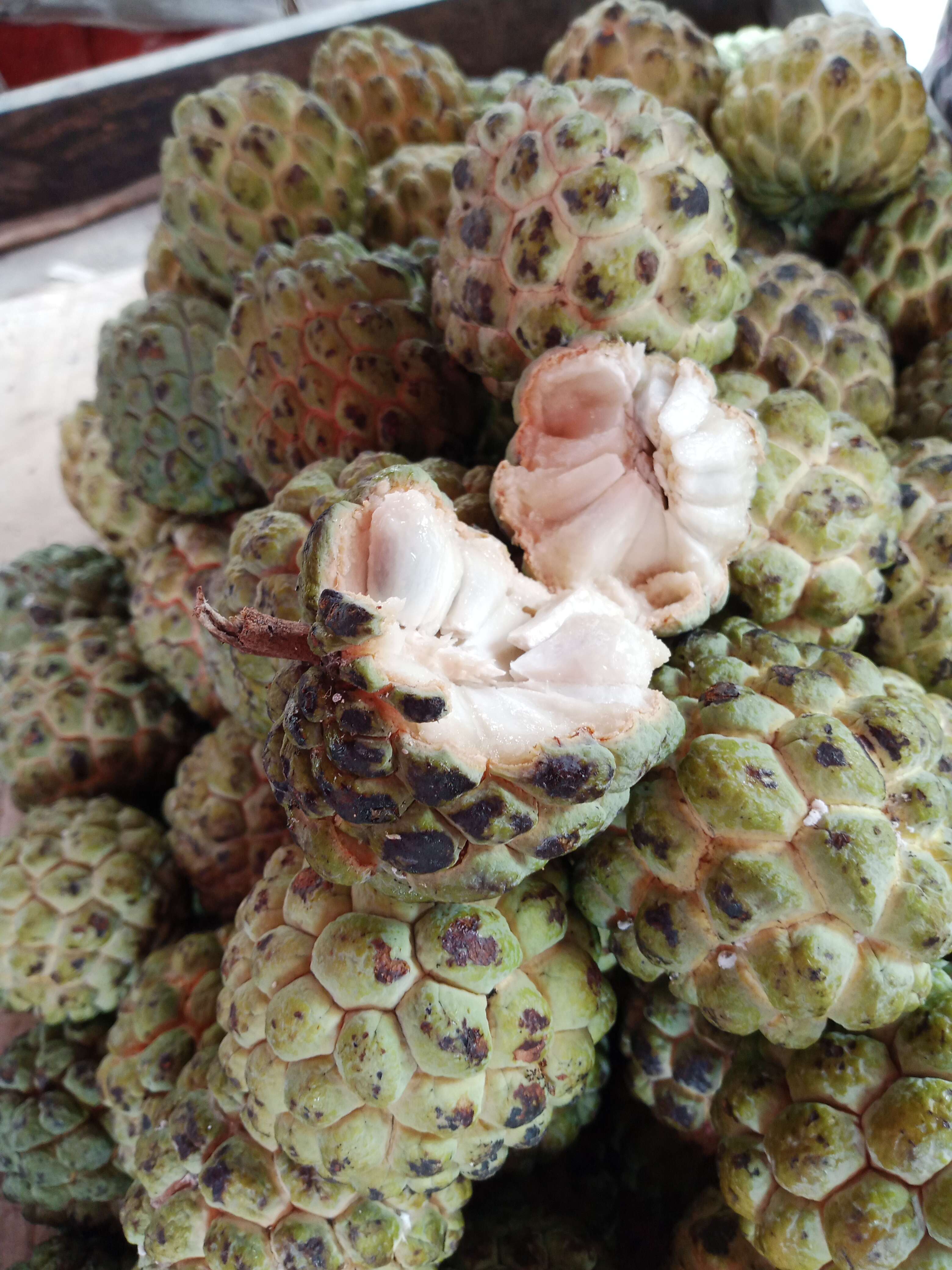 Image of custard apple