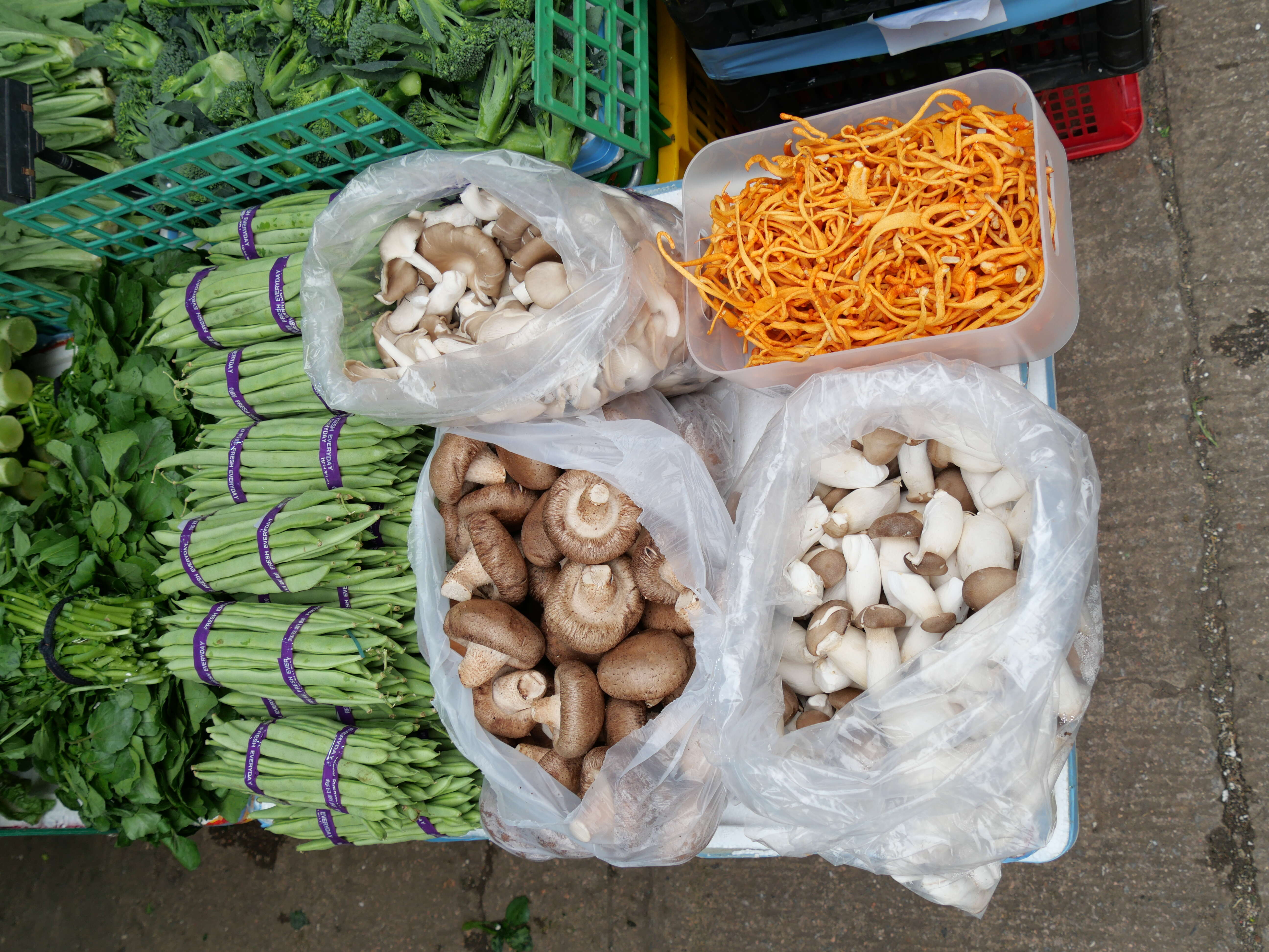 Image of Cordyceps