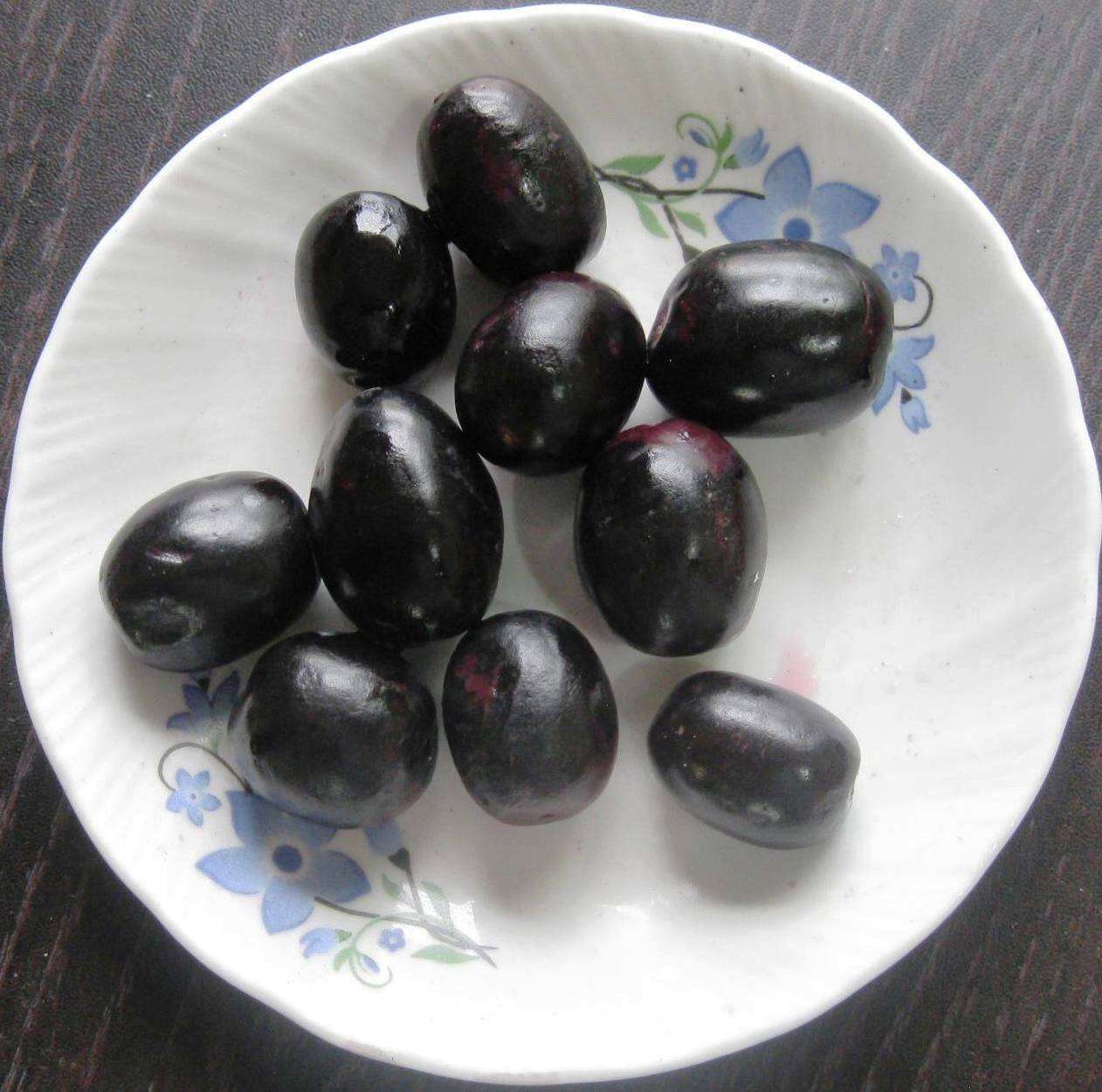 Image of Java plum