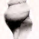 Image of Famelica monotropis (Dautzenberg & H. Fischer 1896)