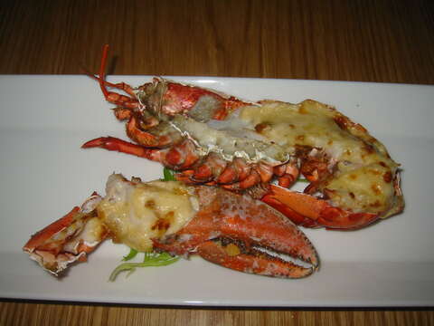 Image of lobster