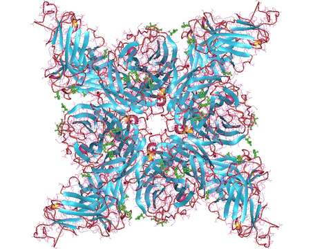 Plancia ëd Influenza A virus