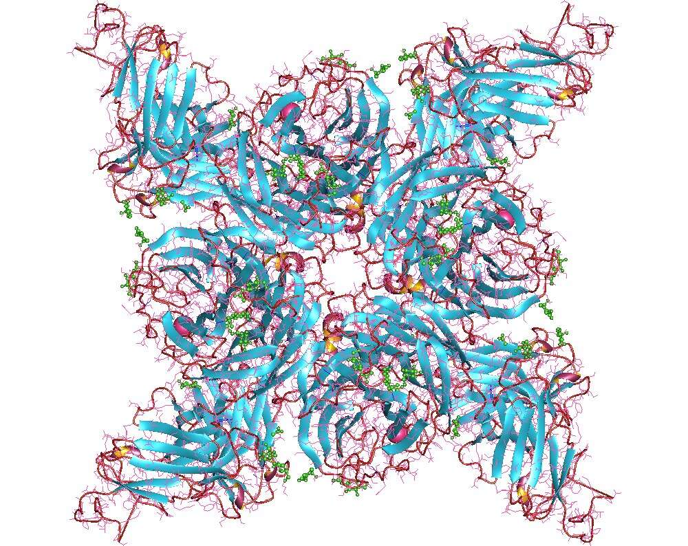 Image of Influenza A virus