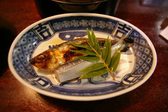 Image of Japanese sardinella