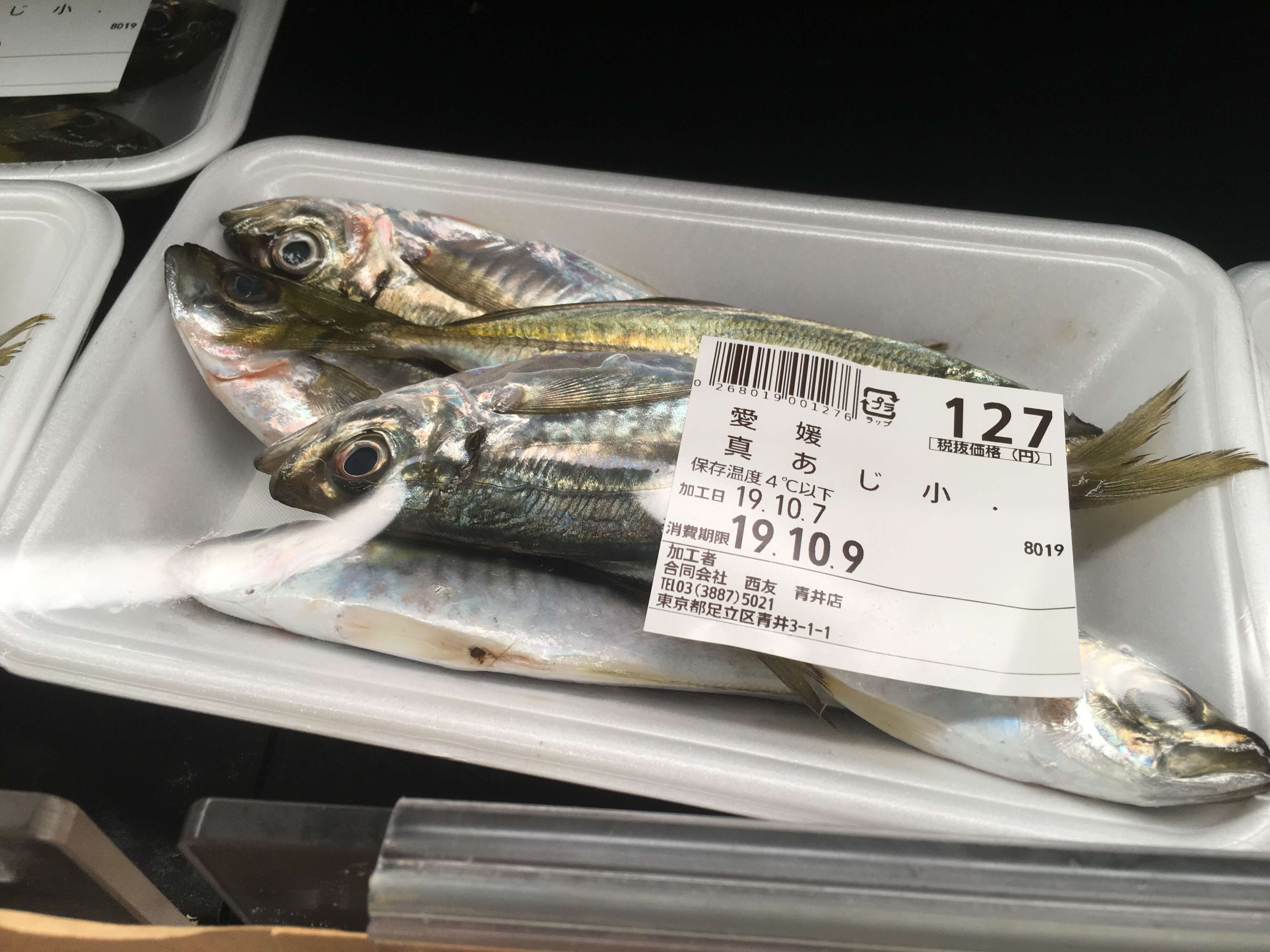 Image of Japanese horse mackerel