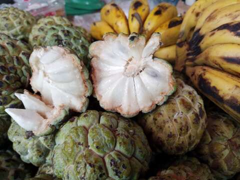 Image of custard apple