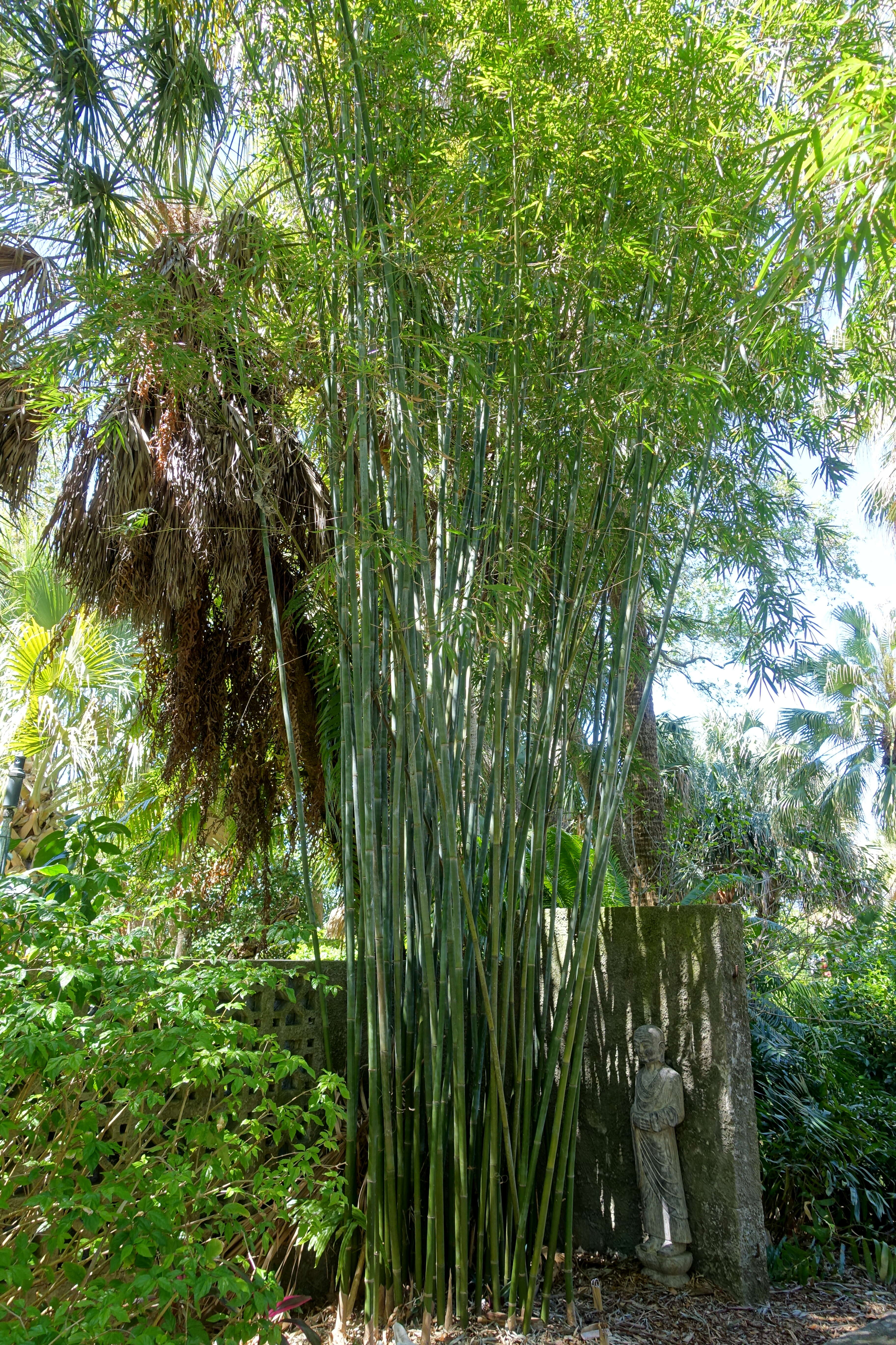 Image of textile bamboo