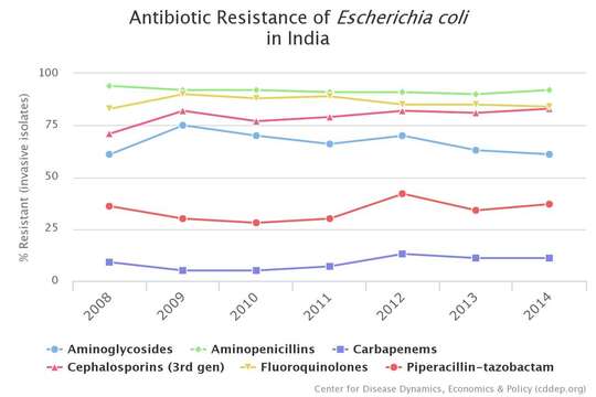 Image of Escherichia