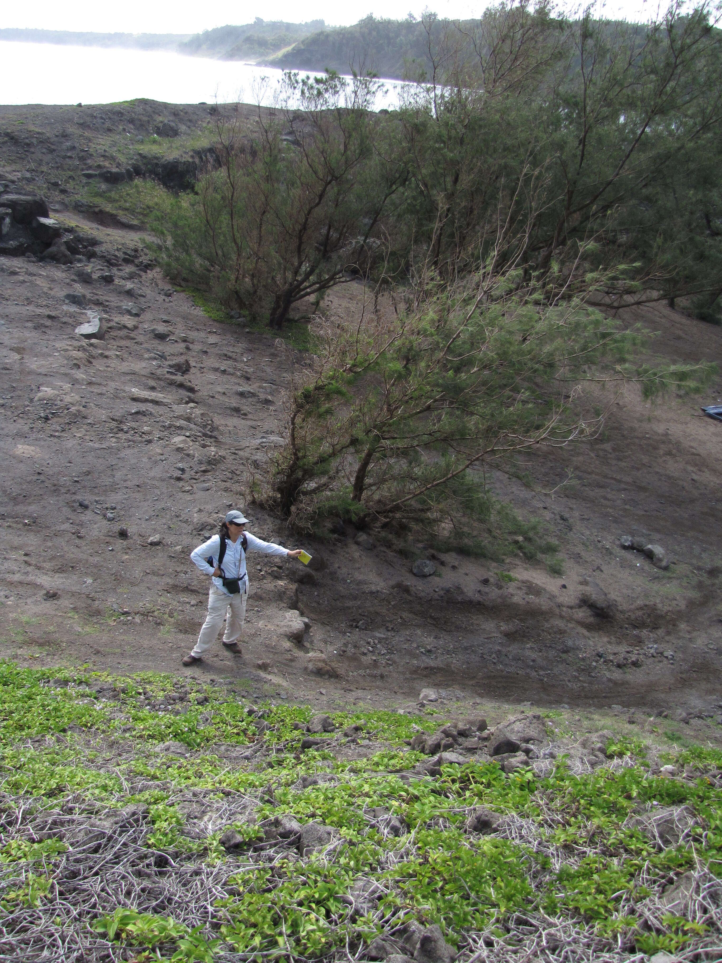 Image of seaside nehe