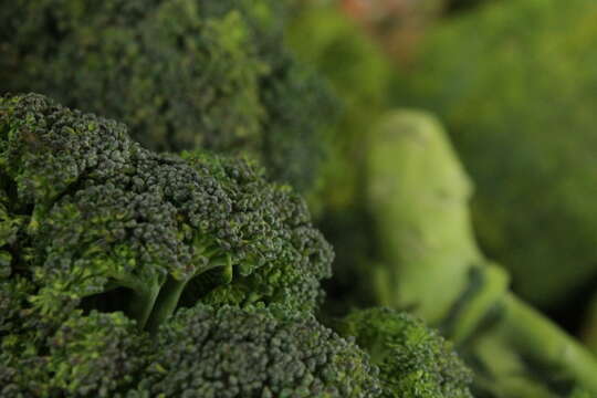 Image of sprouting broccoli