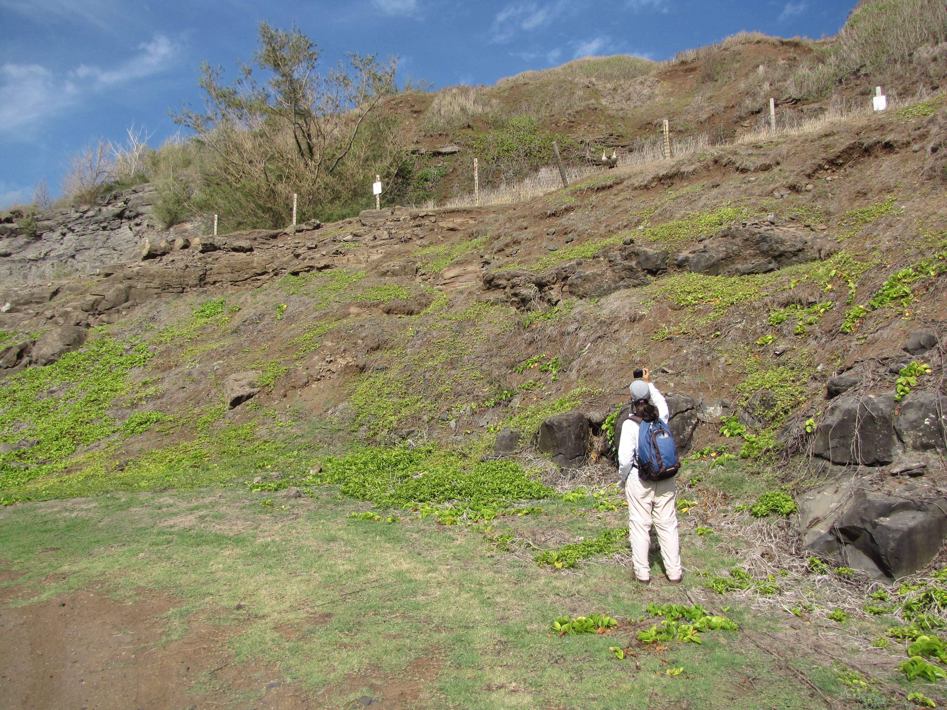 Image of seaside nehe