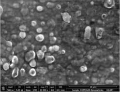 Image of Aspergillus tubingensis Mosseray 1934