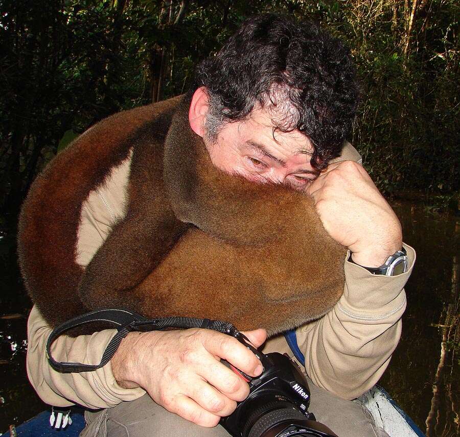 Image of Woolly monkey