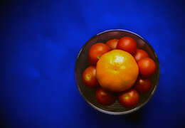 Image of Citrus × tangerina