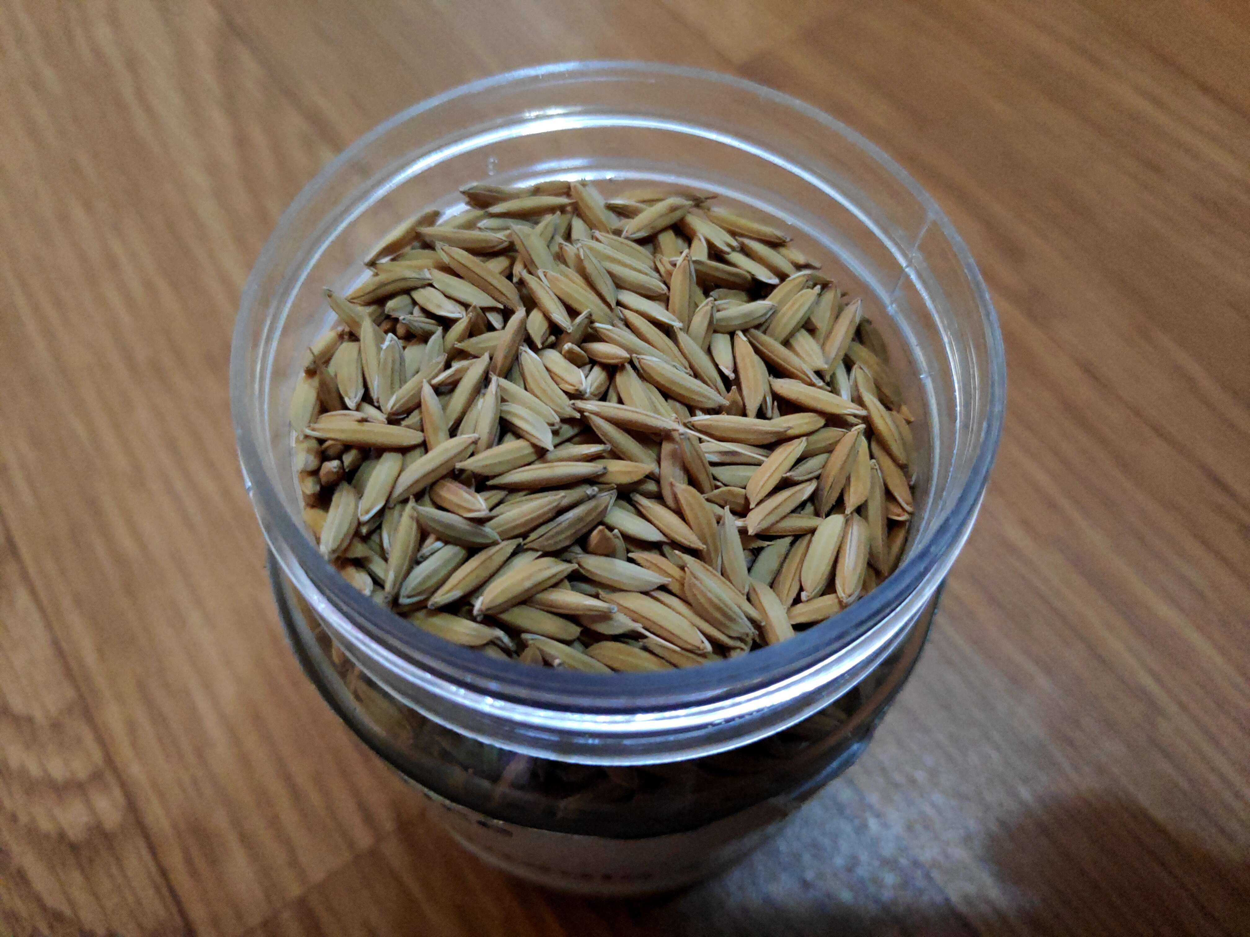 Image of rice