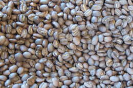 Image of coffee