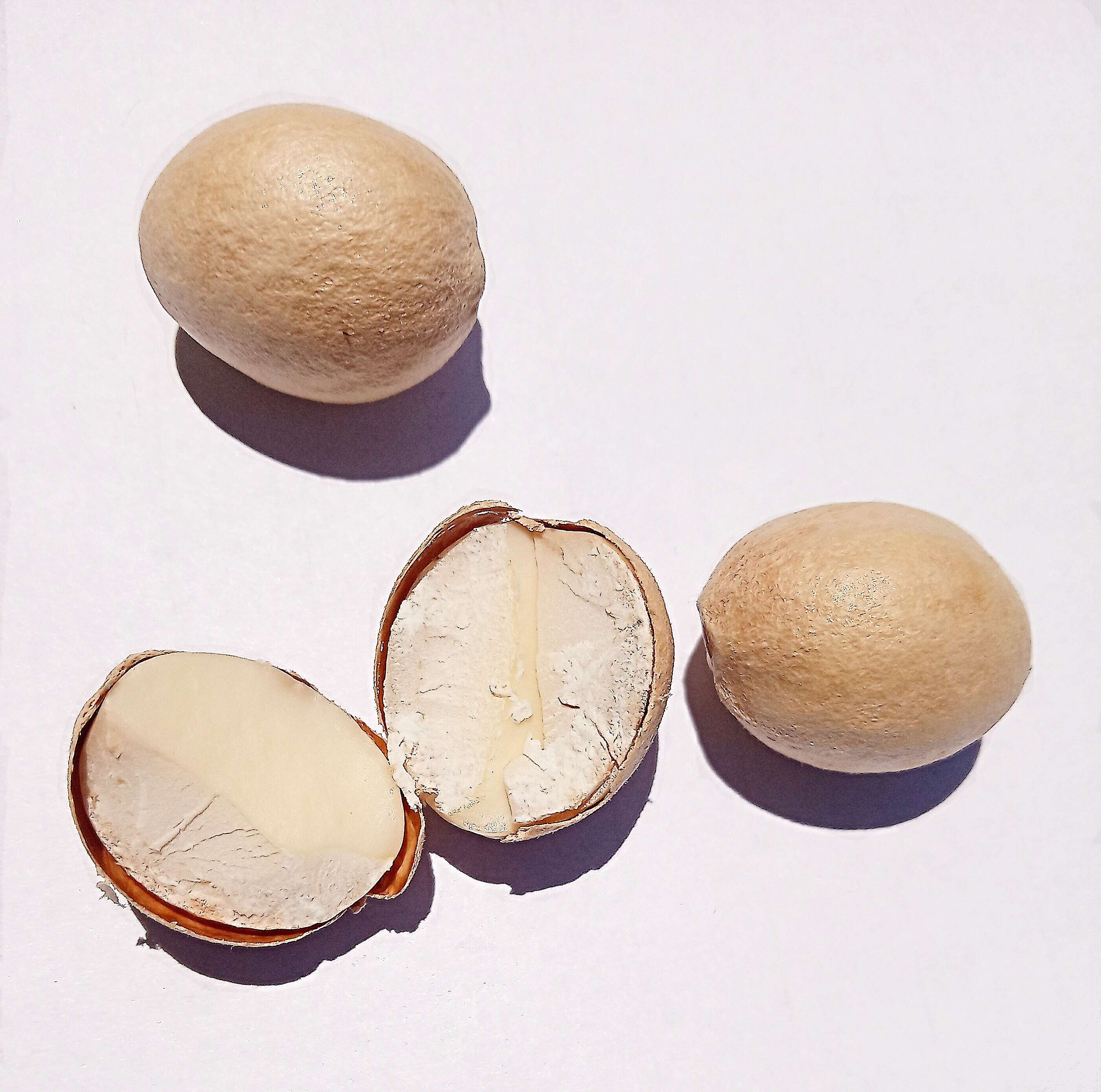 Image of Spanish lime