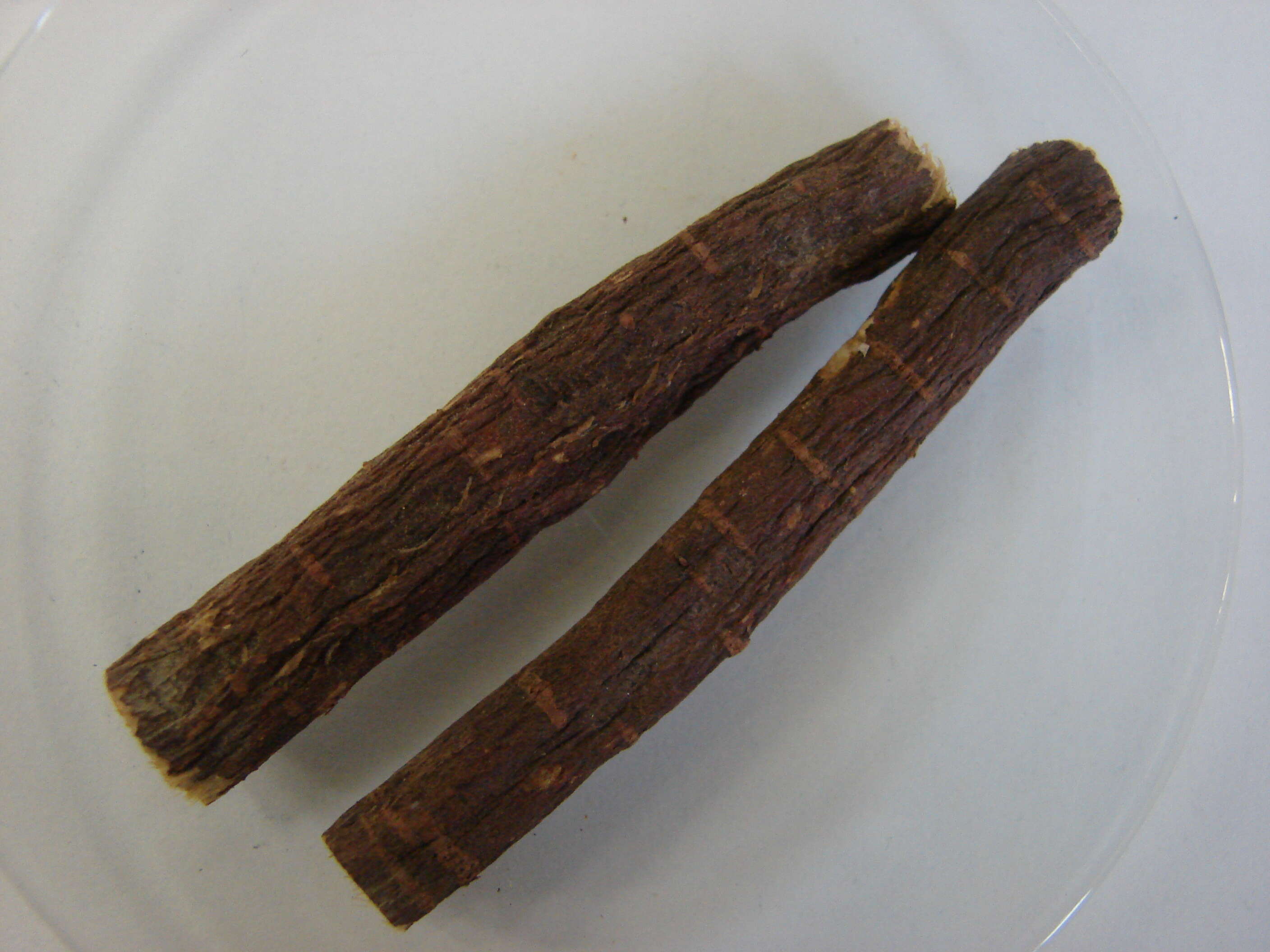 Image of cultivated licorice