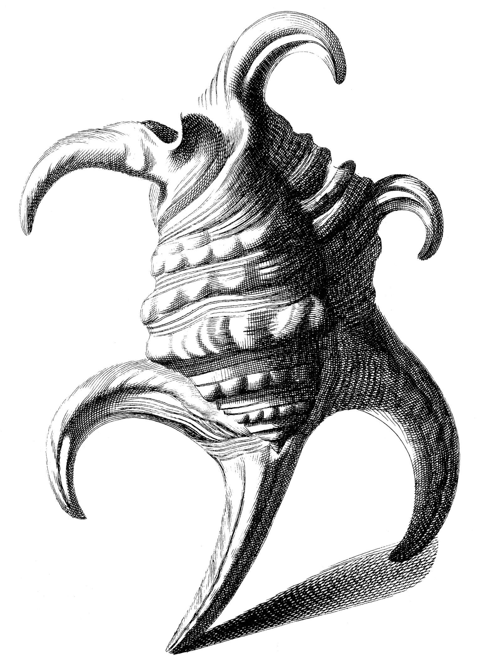 Image de Harpago Mörch 1852