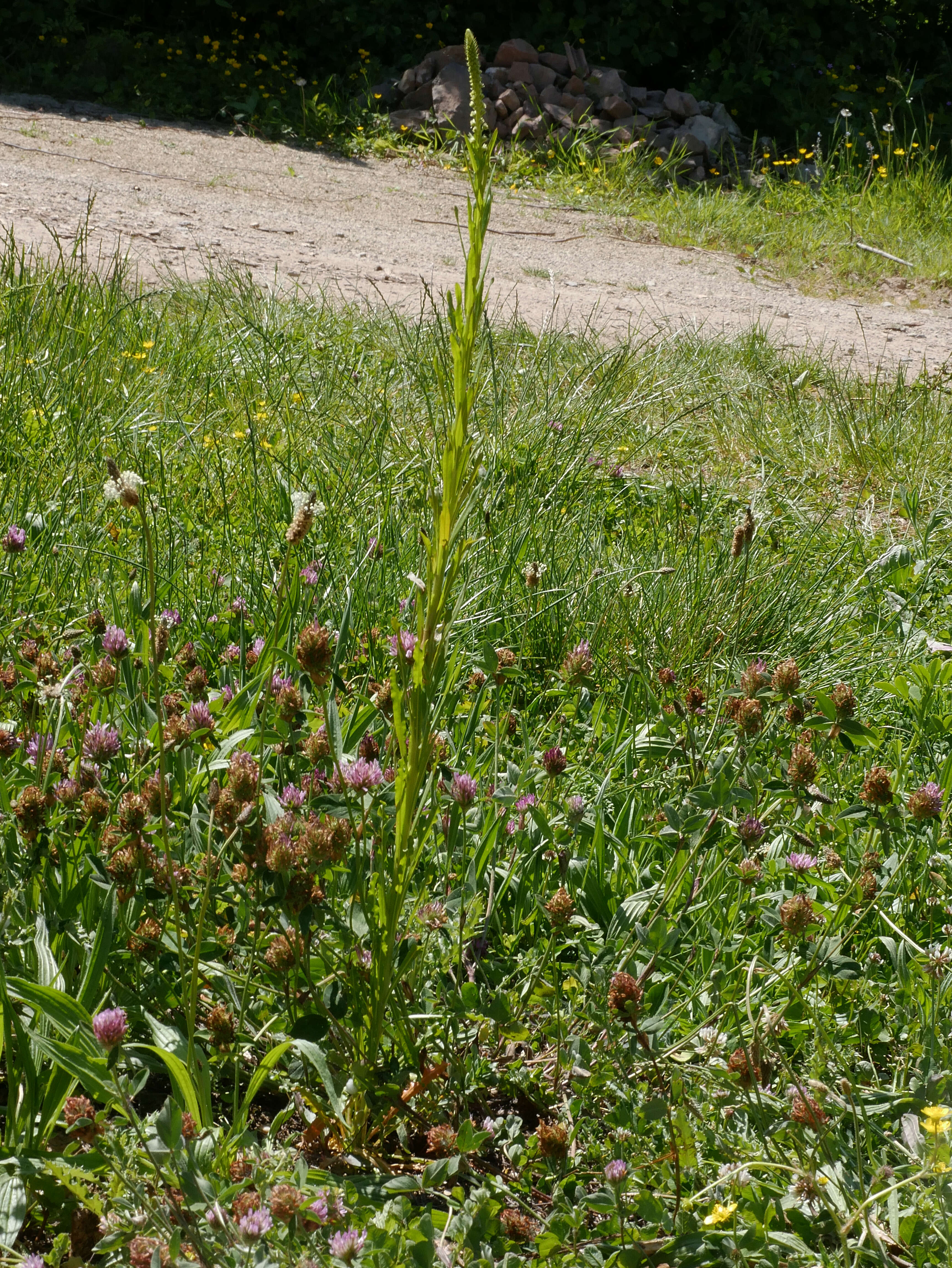 Image of weld