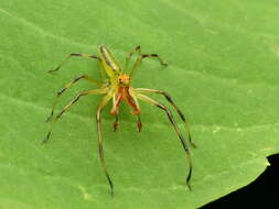 Image of Magnolia Green Jumper